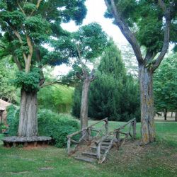 Una bonita ración de delicatessens para acabar la temporada (Soria y Pirineos) - (Intro y Soria)
