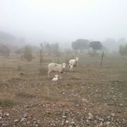 Rutas a modo de terapia para recobrar la ilusión